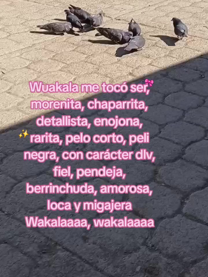 @₊˚ ⋆. ୨𝓥𝓐𝓝𝓔 ୧˚⋆ ₊˚ 🪼