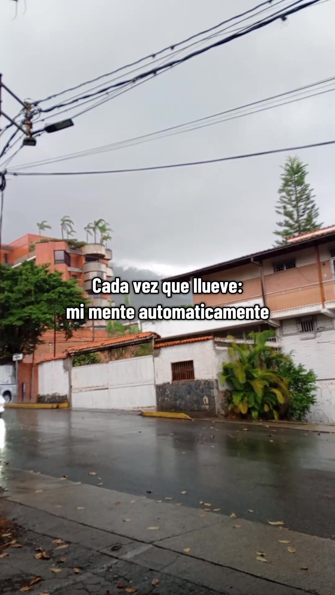 @Elisa Rangel