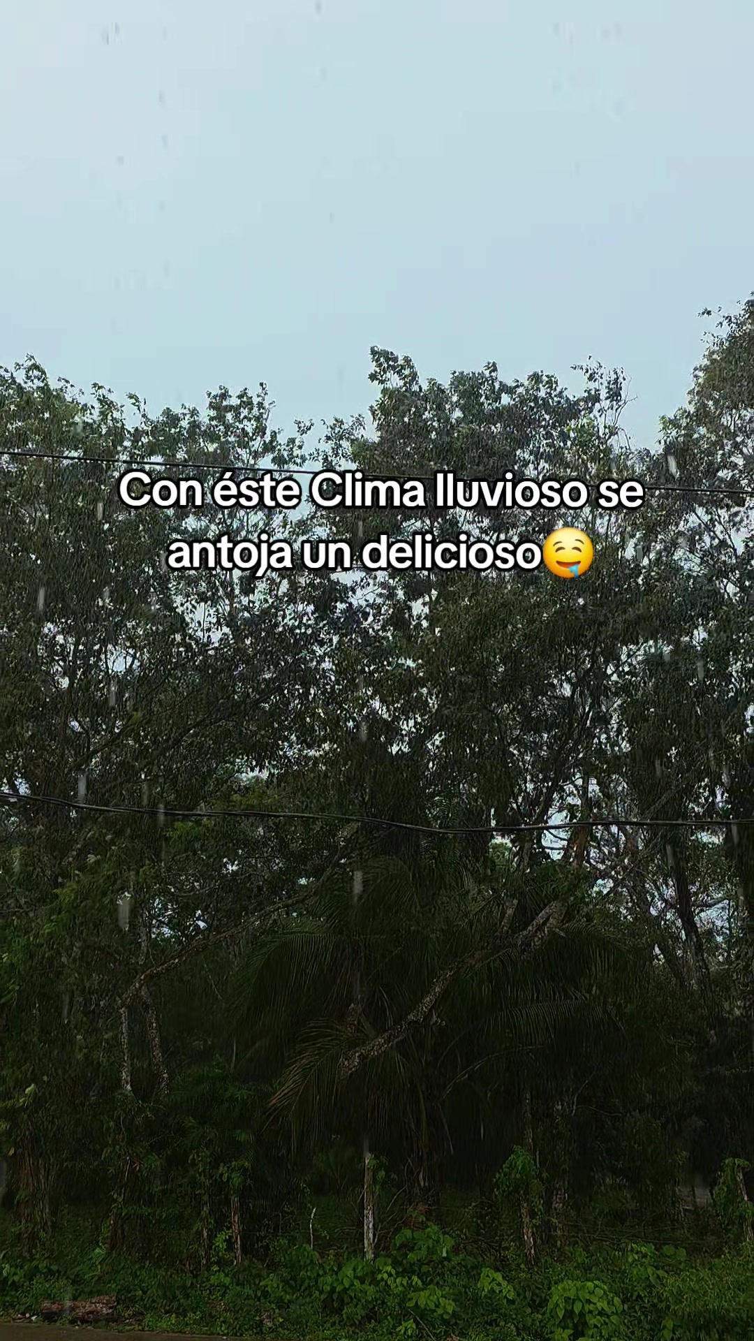 @Pao96💫
