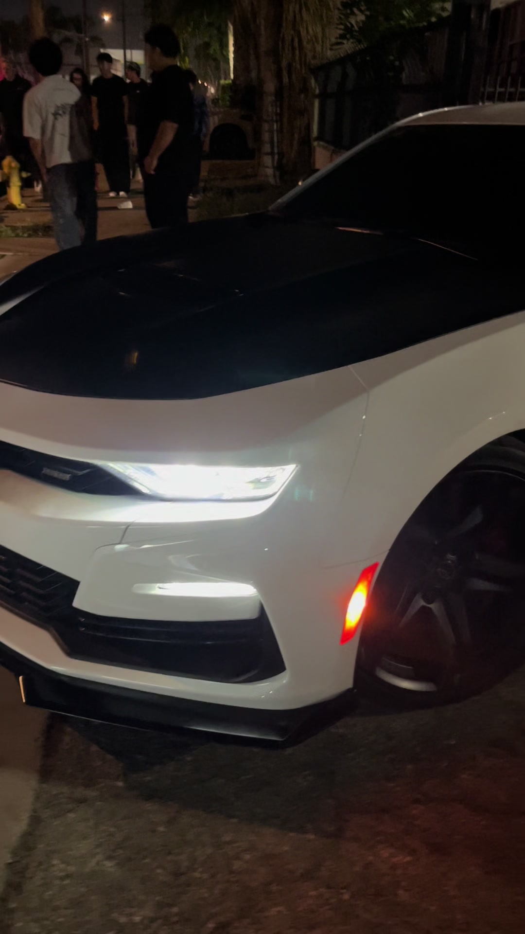 @WICKED CAR NATION