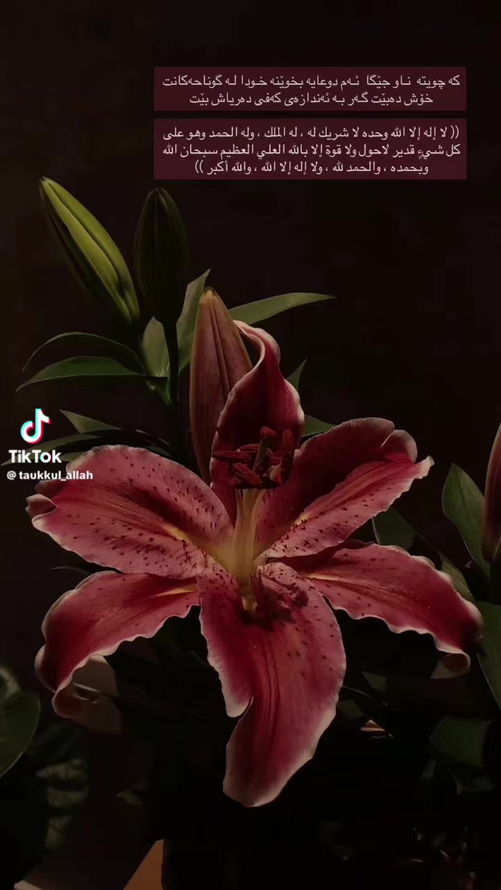 @a1lin_nn