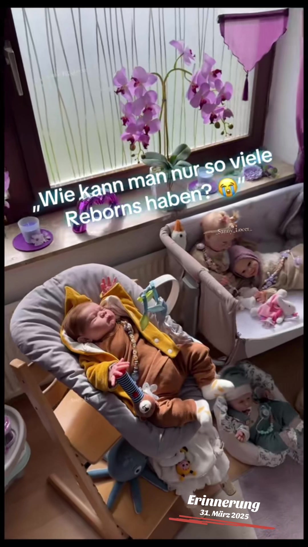 @𝐒𝐚𝐧𝐧𝐲𝐬 𝐑𝐞𝐛𝐨𝐫𝐧𝐬 ✿