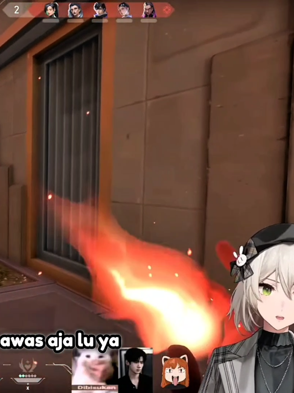 @Neko