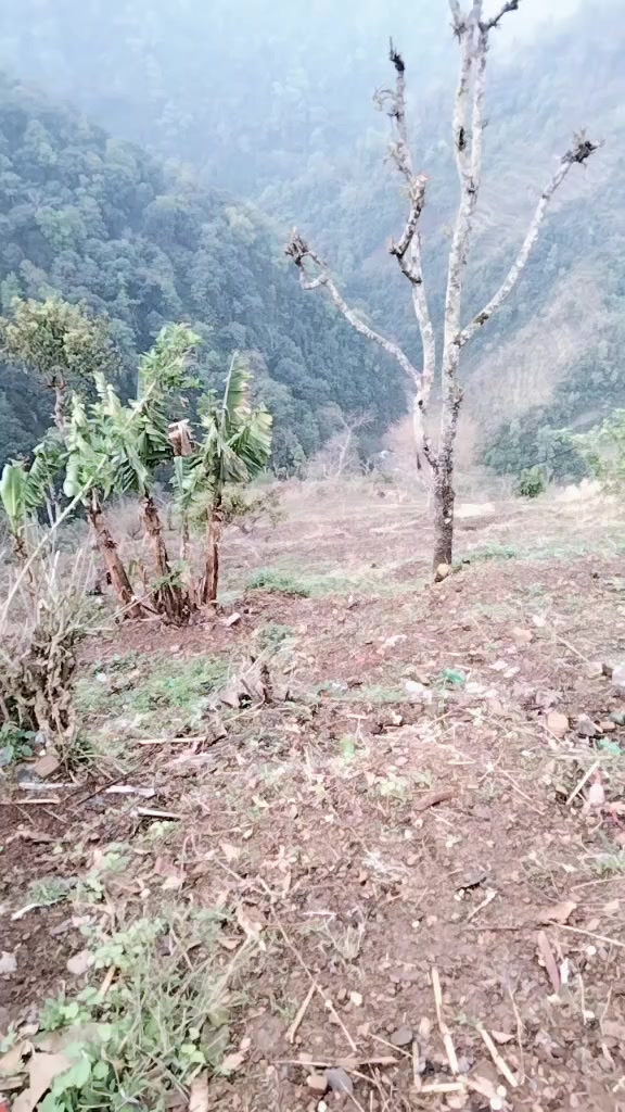 @Suraj gharti