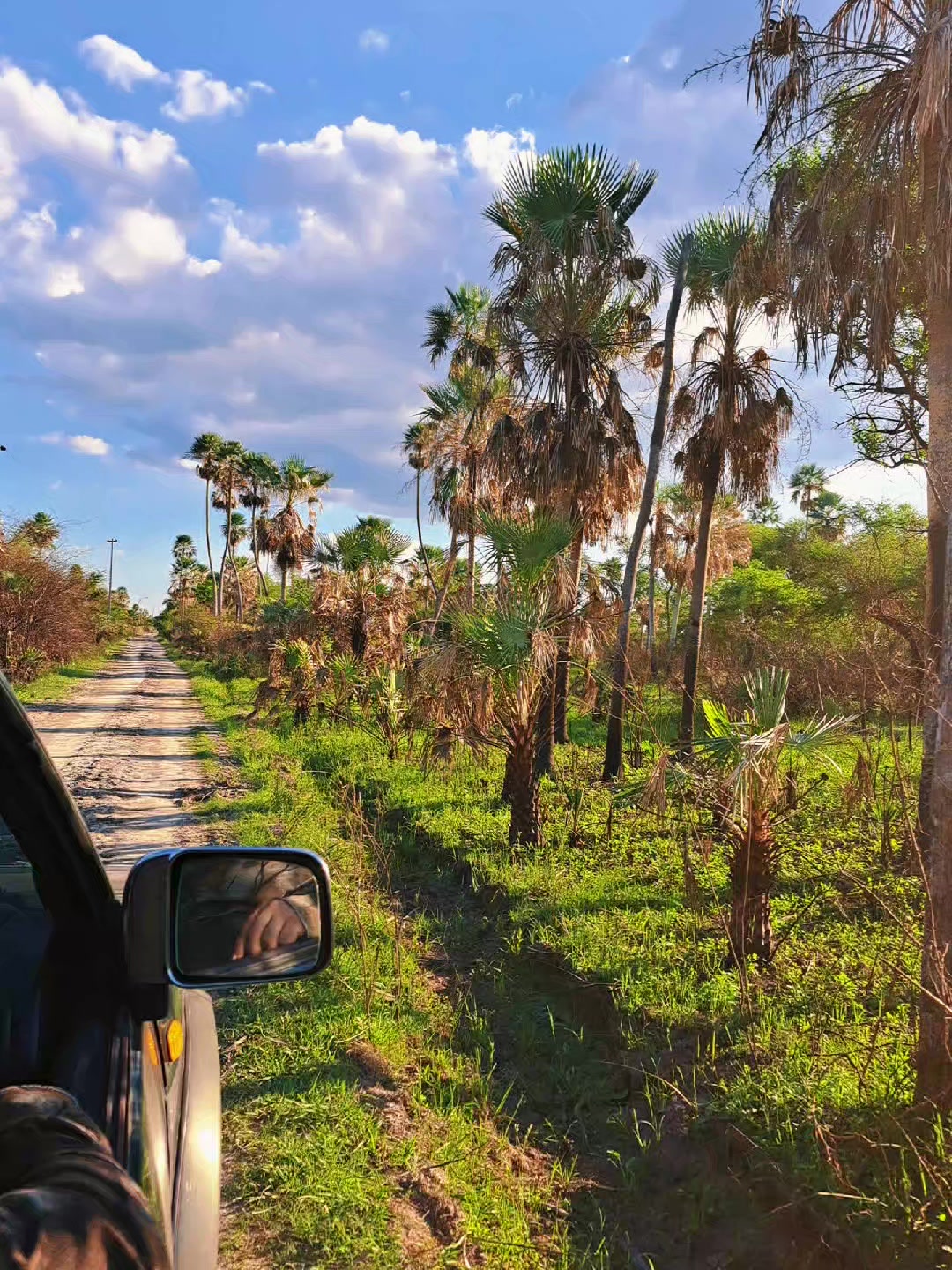 @🇵🇾Py⛰️🌲🌴🌿🏕😍&hearts;️🤠