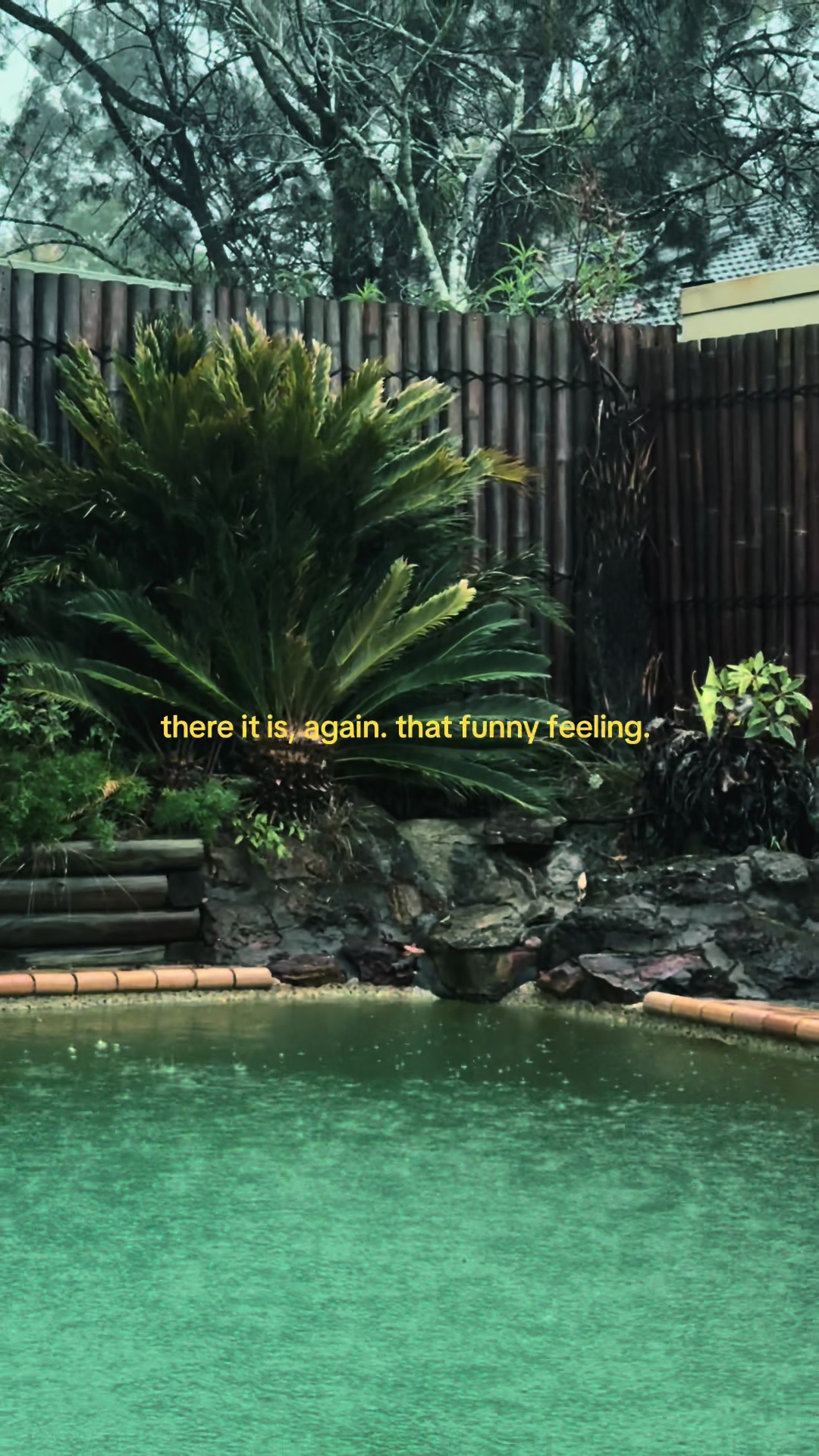 @tara <3