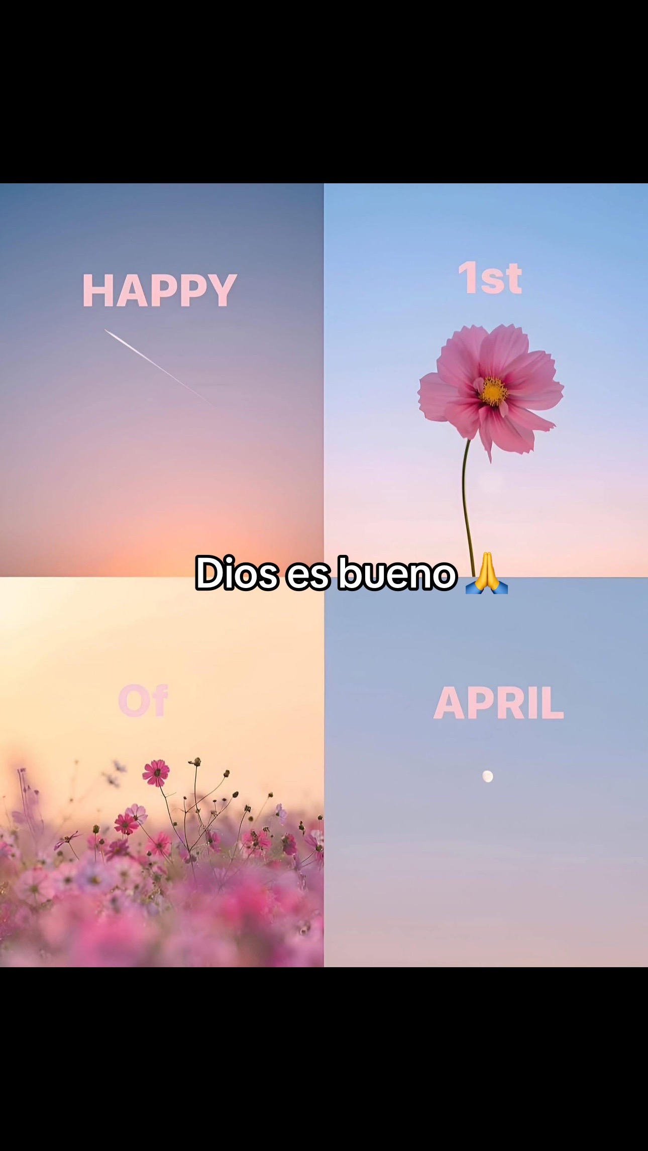 @Yunny carmona
