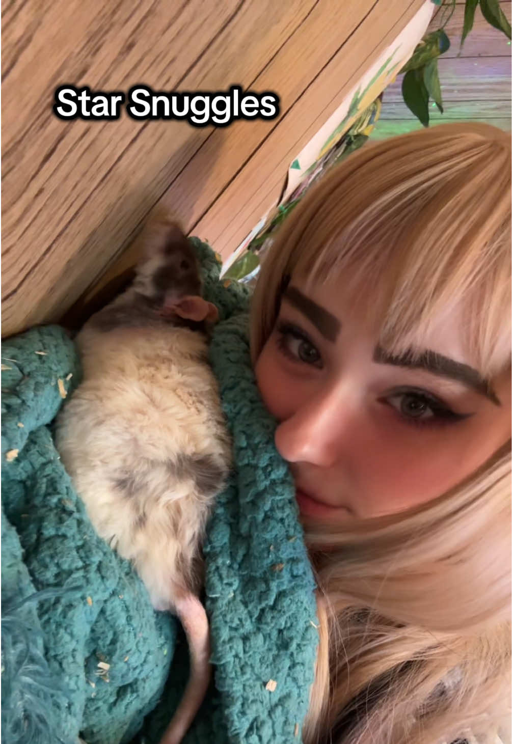 @lookatmyrodents