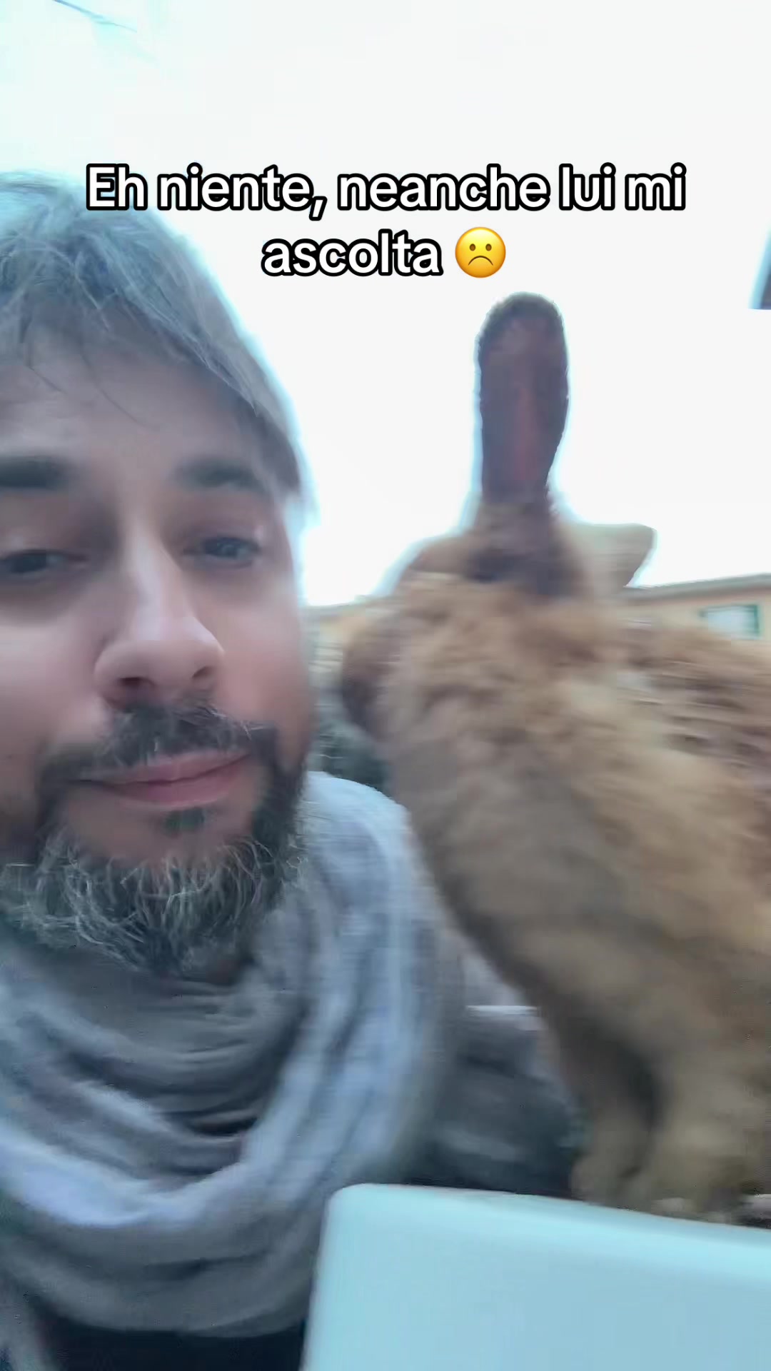 @Samuele Solarino