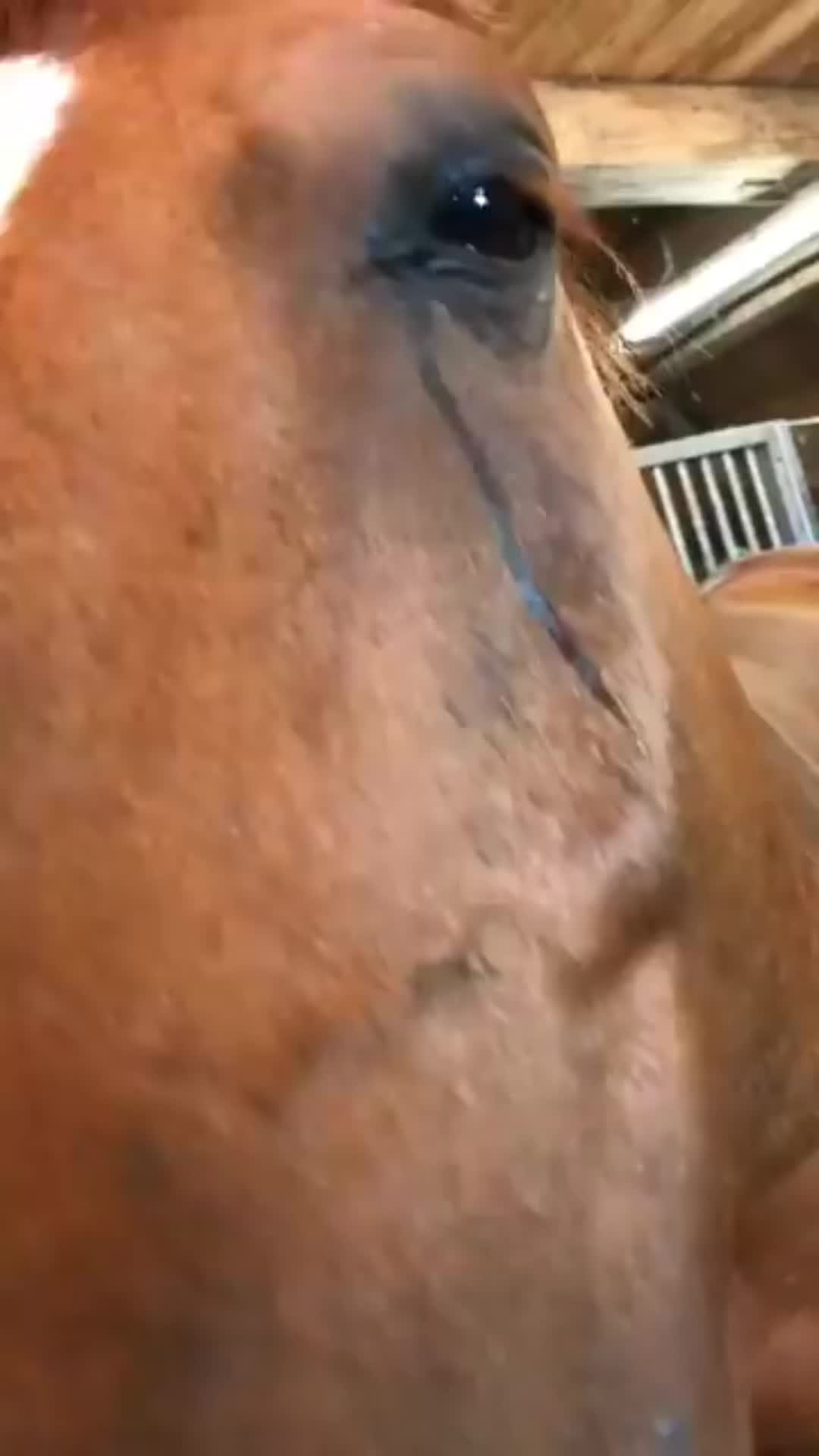 @Spike
