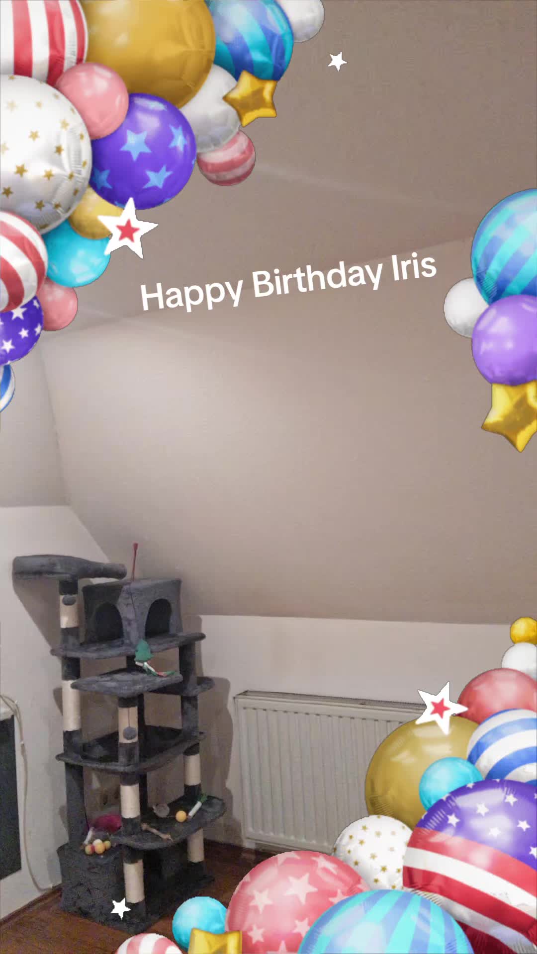 @Ricarda