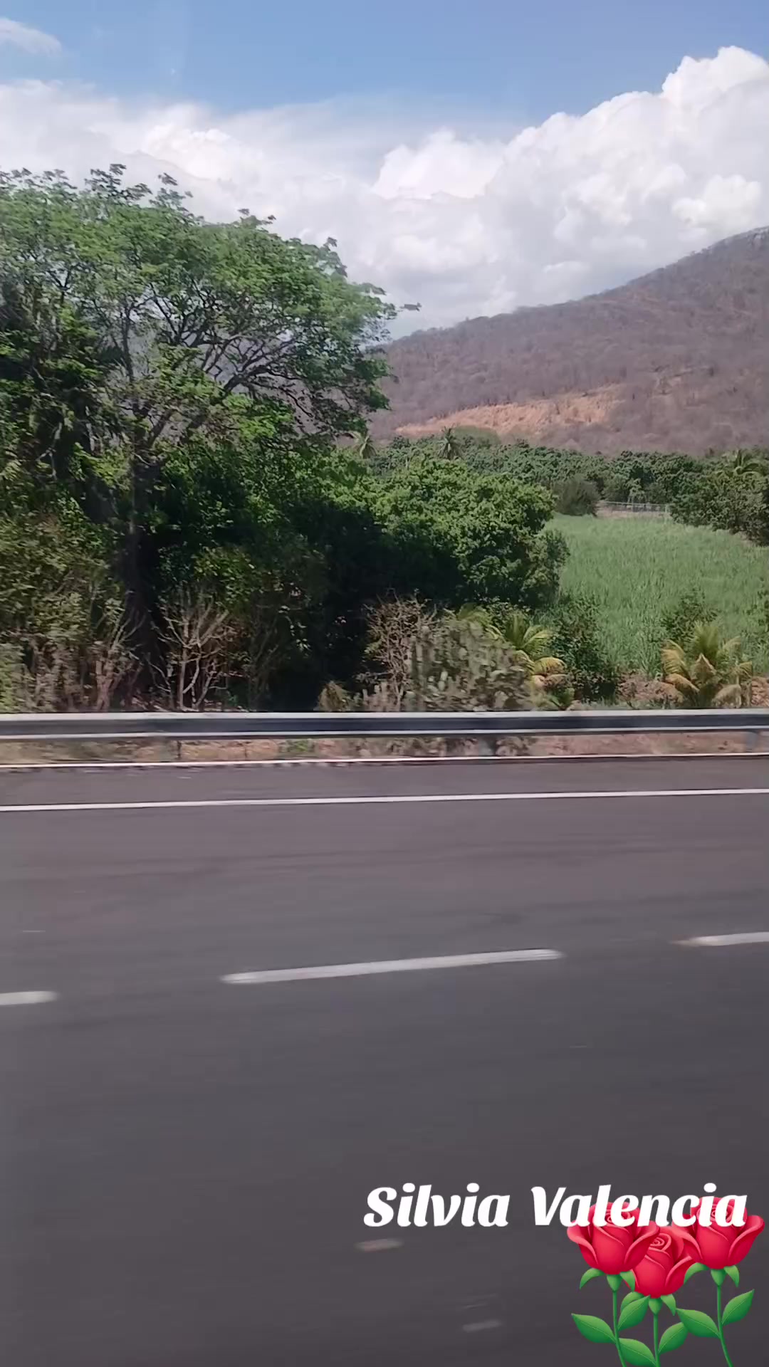 @Silvia Valencia