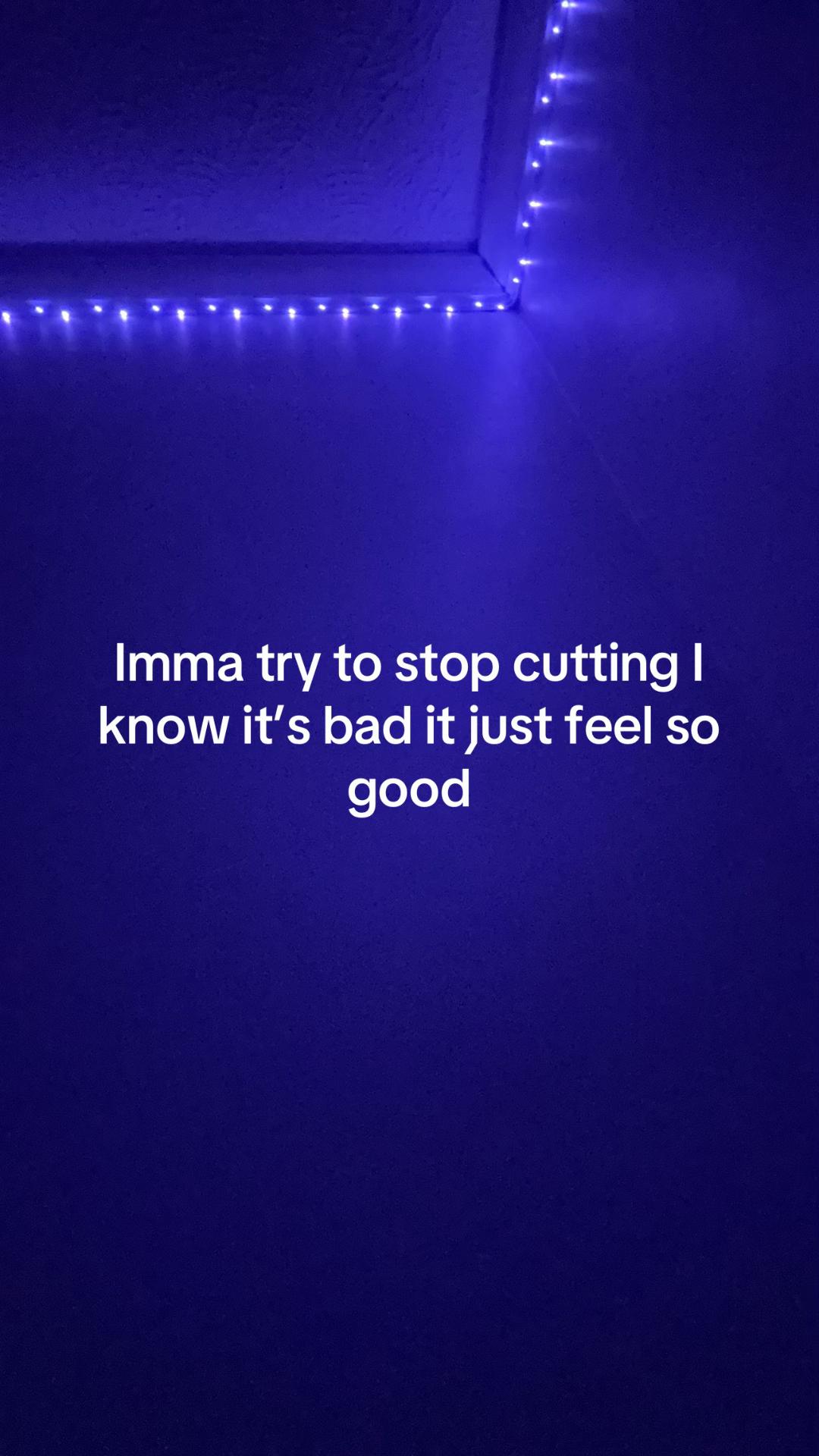 @✨𝓲𝓙𝓮𝓽𝓣𝓱𝓮𝓢𝓱𝓸𝓻𝓴✨