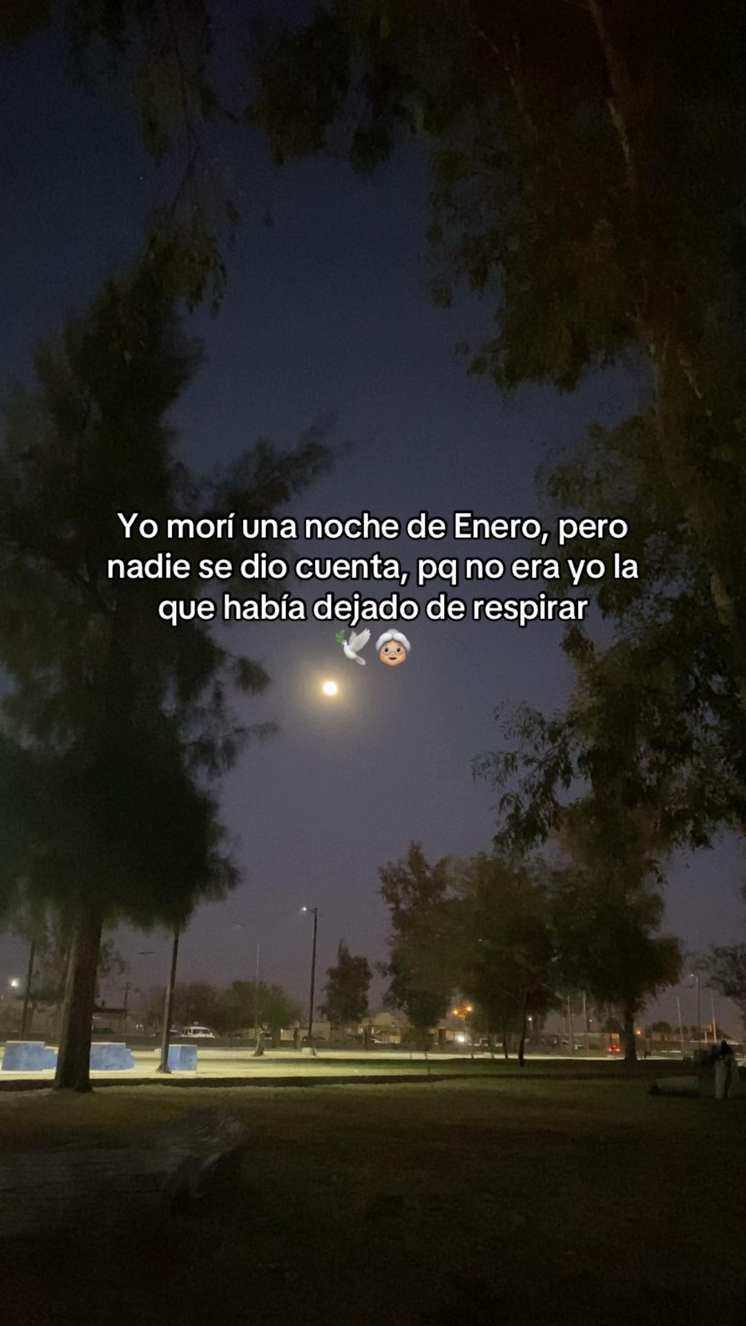 @✨ 𝑨𝑹𝑨𝒀𝑰𝑵𝑨 ✨