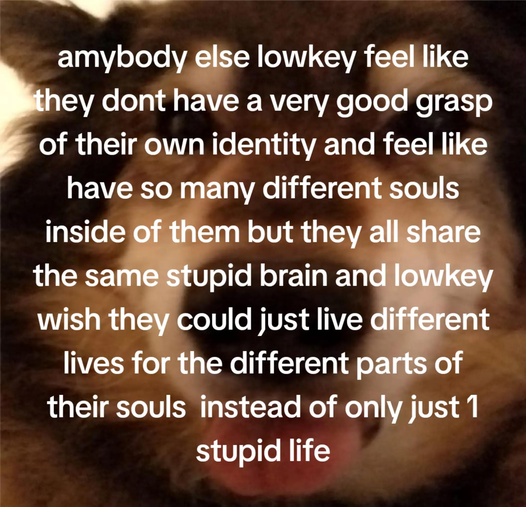 @lesbian tboy spike
