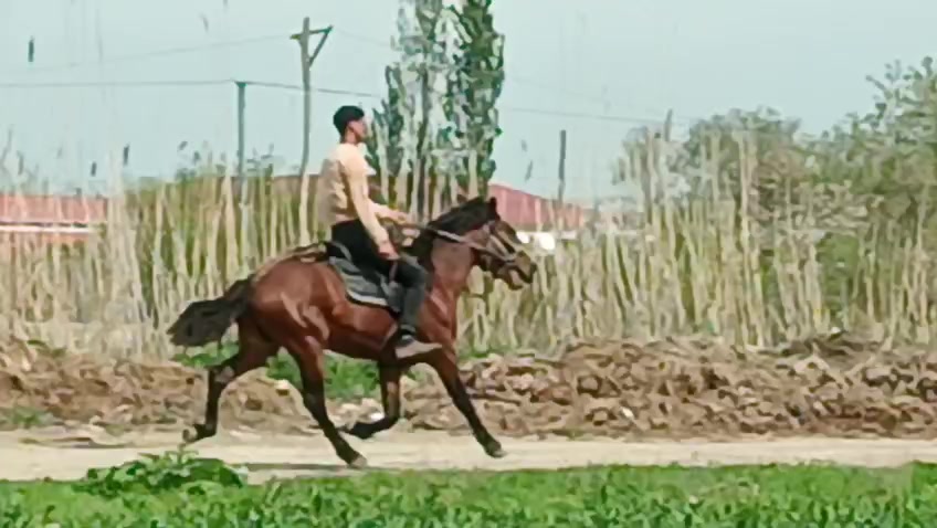 @Elg&uuml;n02