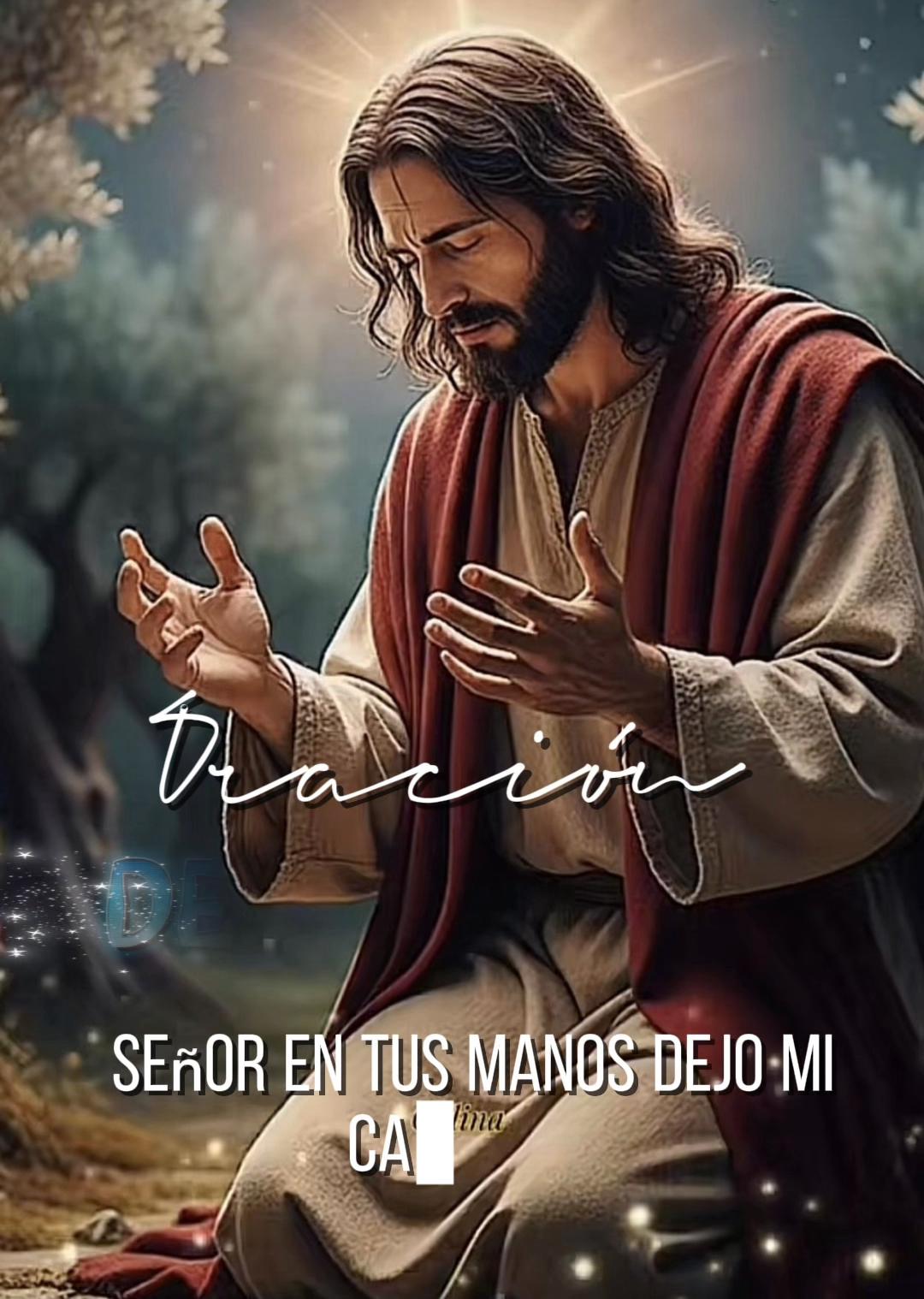 @elrosariodecadadia