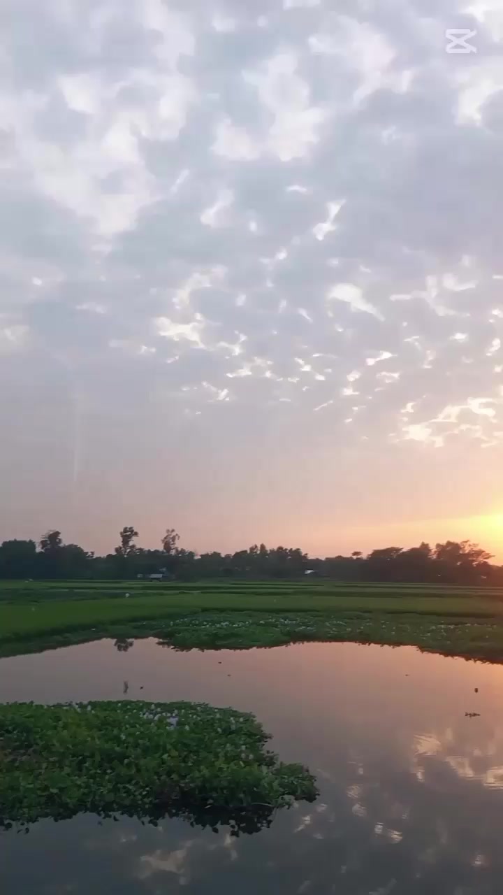 @humaira