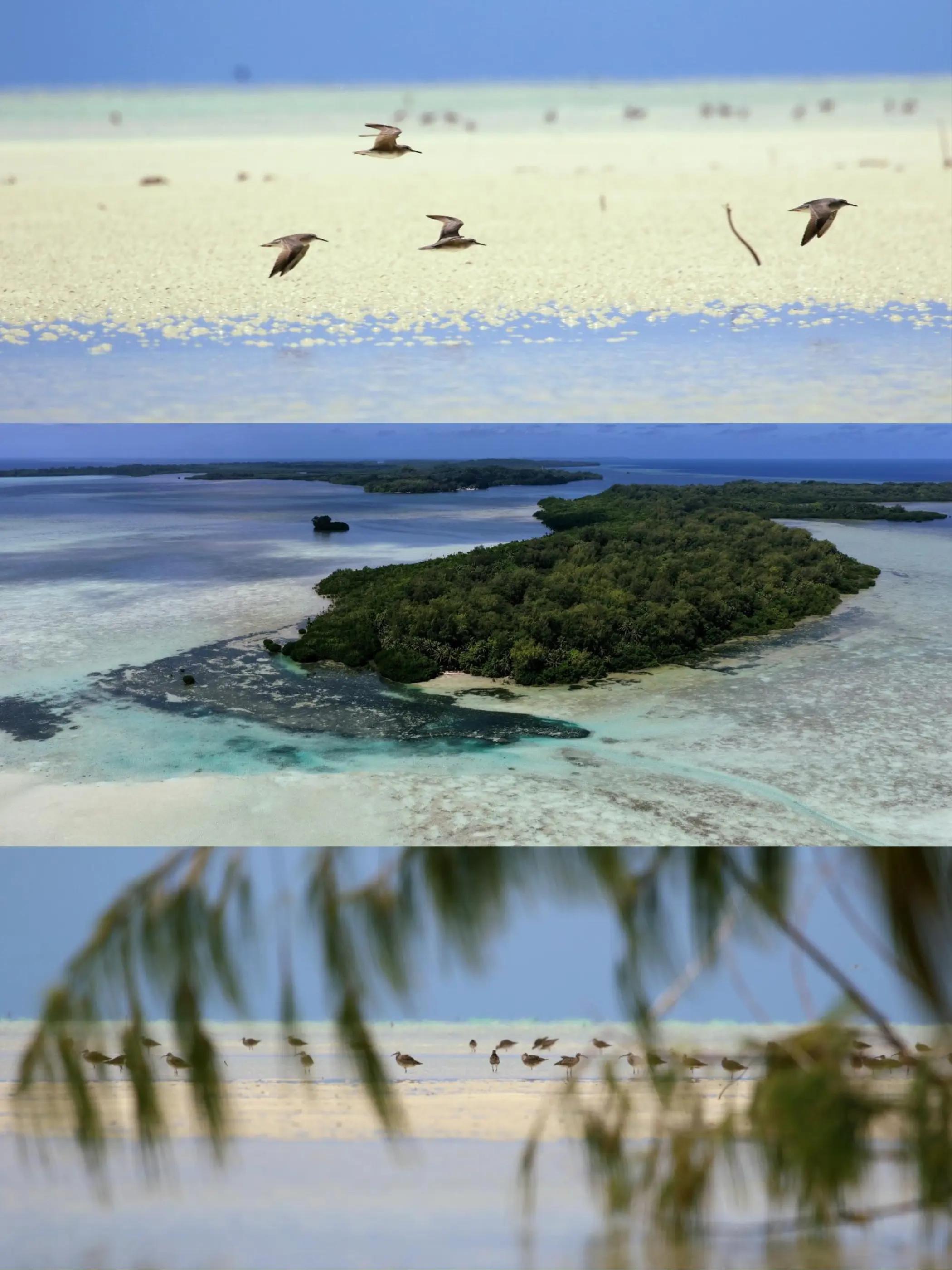 @Paddling Palau