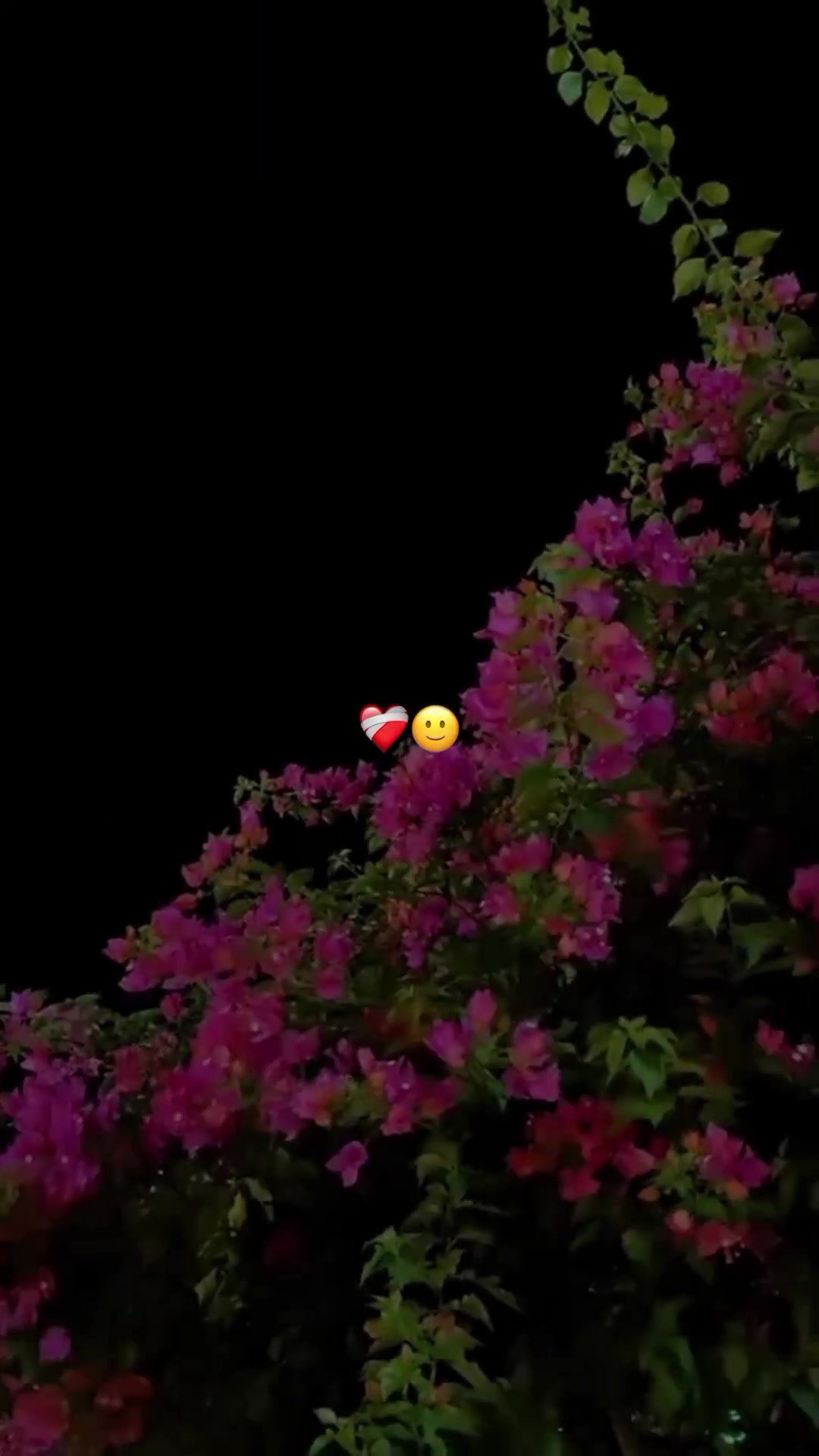@𓆩🅻🆈🆁🅸🅲🆂𓆪