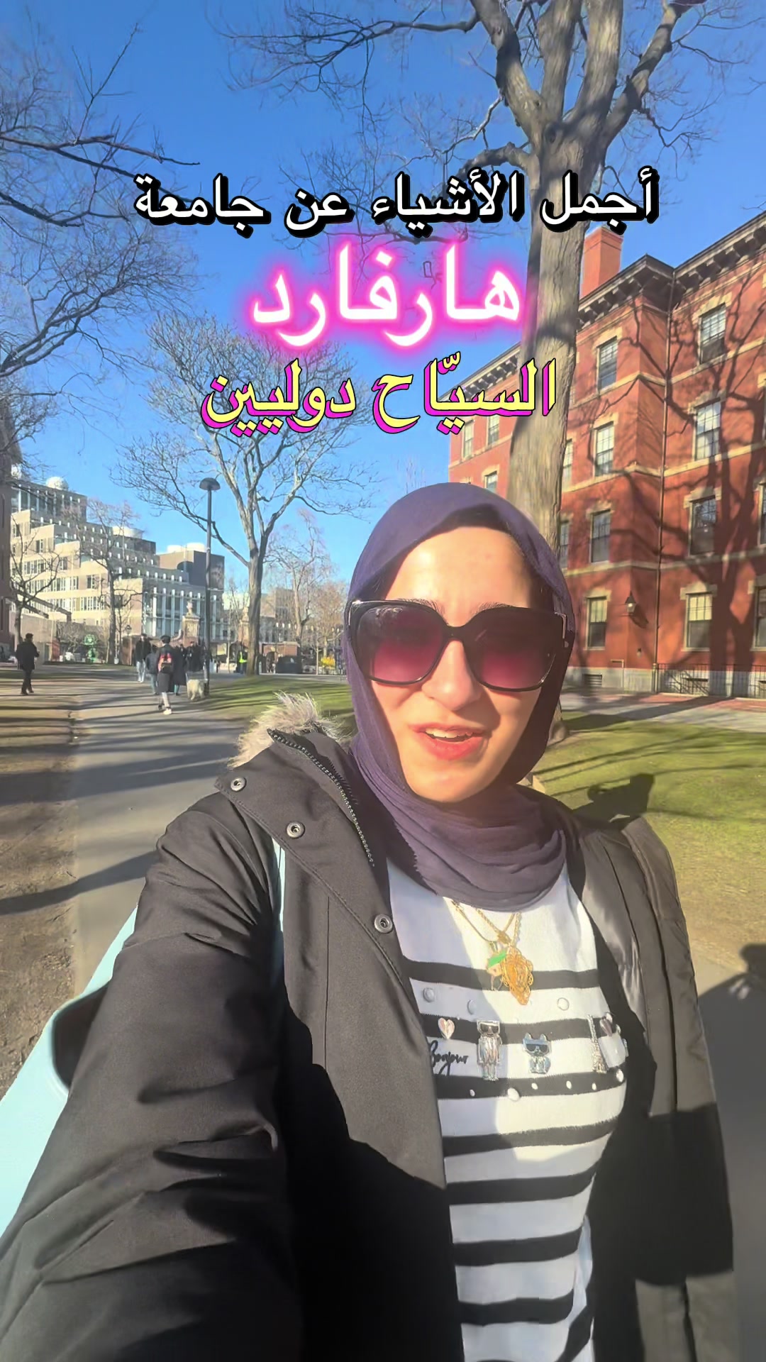 @shamqarqour