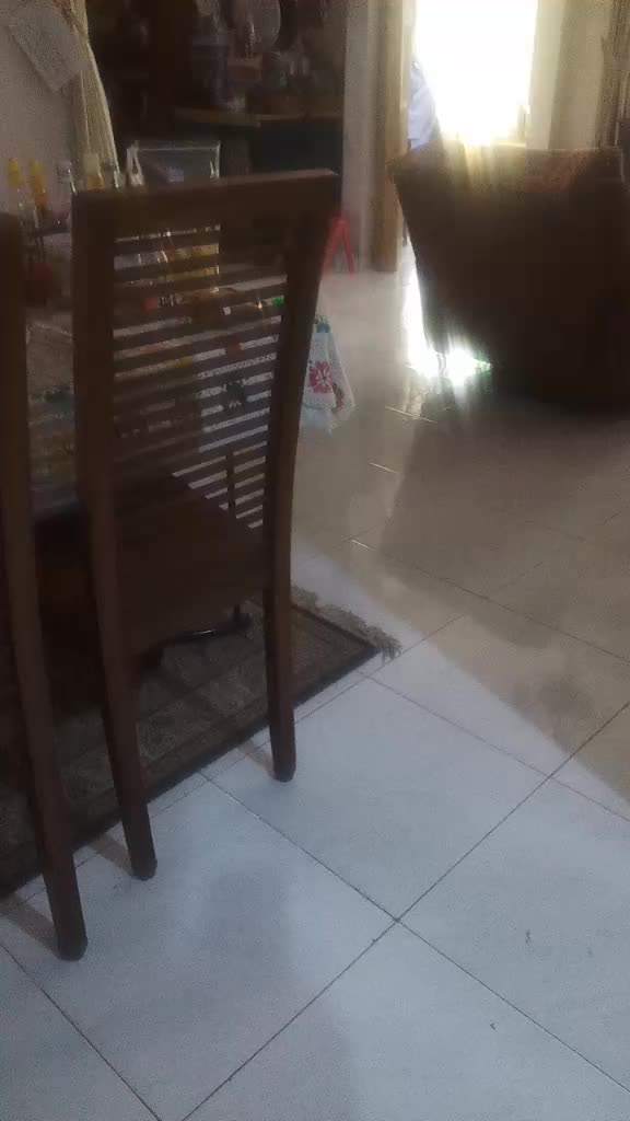 @Mimi Sela