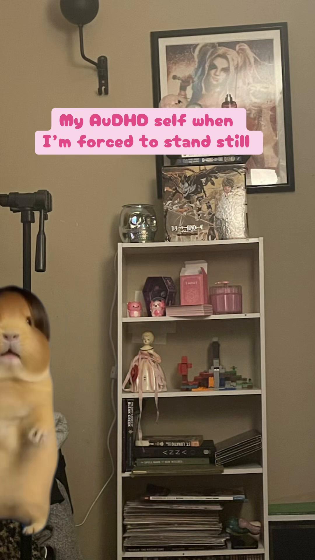 @🎀  𝒦𝓇𝒾𝓈𝓉𝓎  🎀