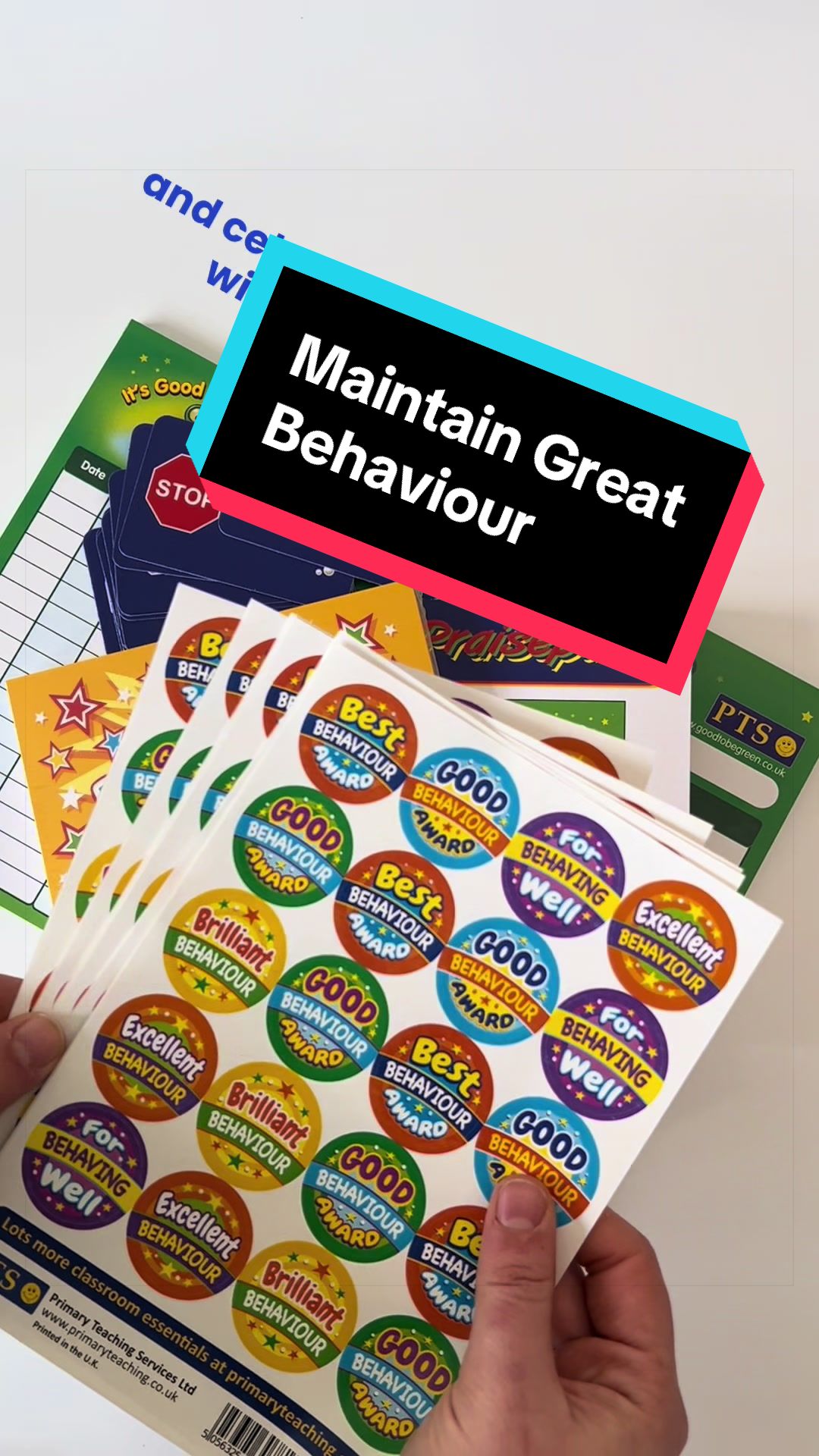 @Primary teaching services