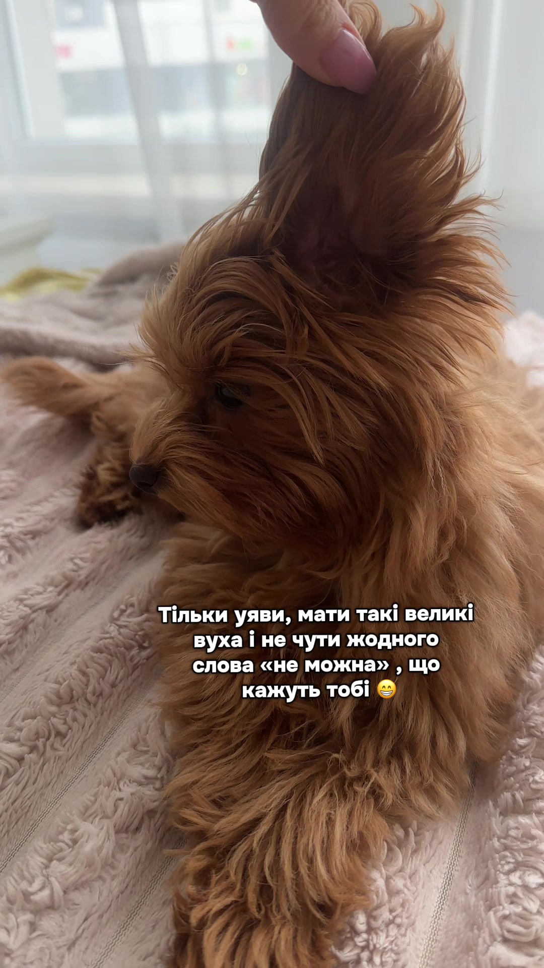 @Катерина