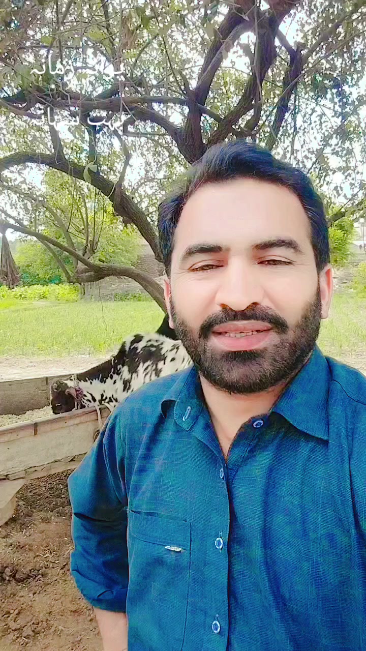 @سیدعامرشیرازی913