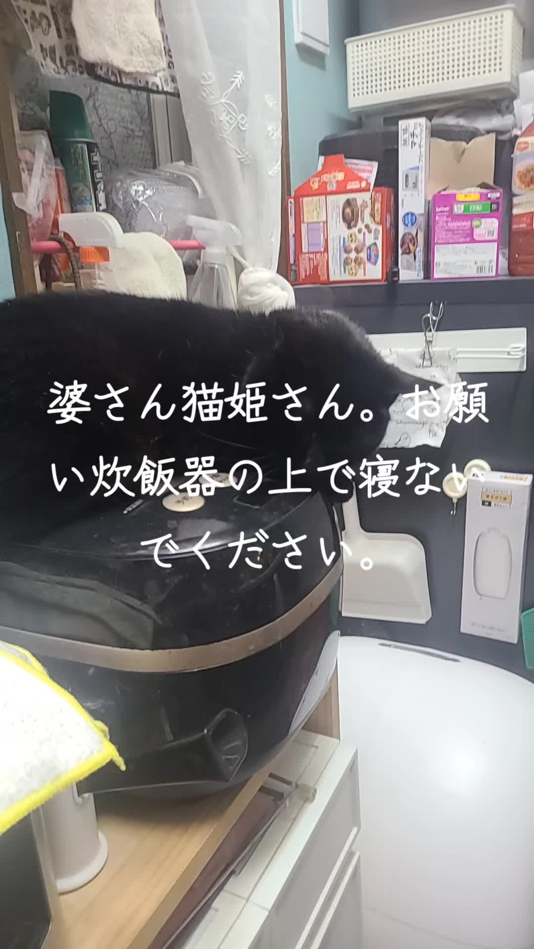 @沙亜代