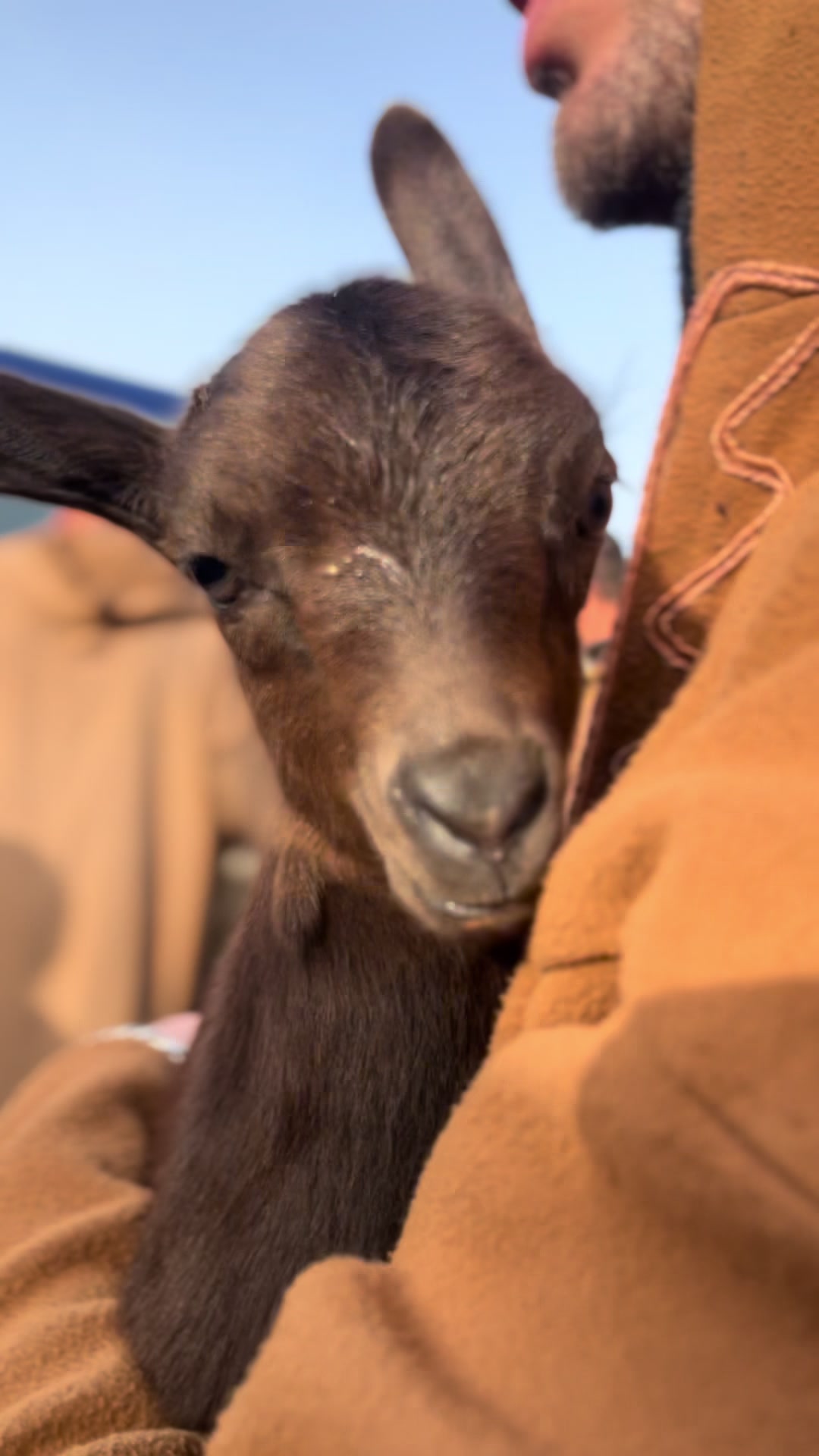 @Goat Farme🐐❤️