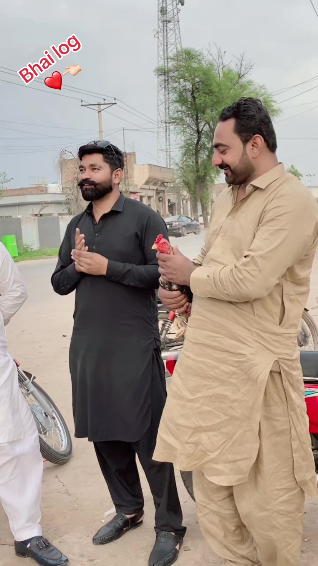 @Saifibadshah333