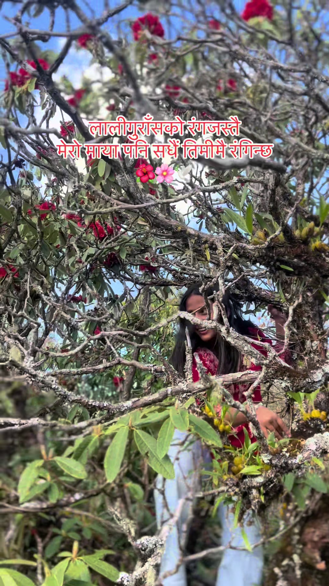@Sarita dhakal