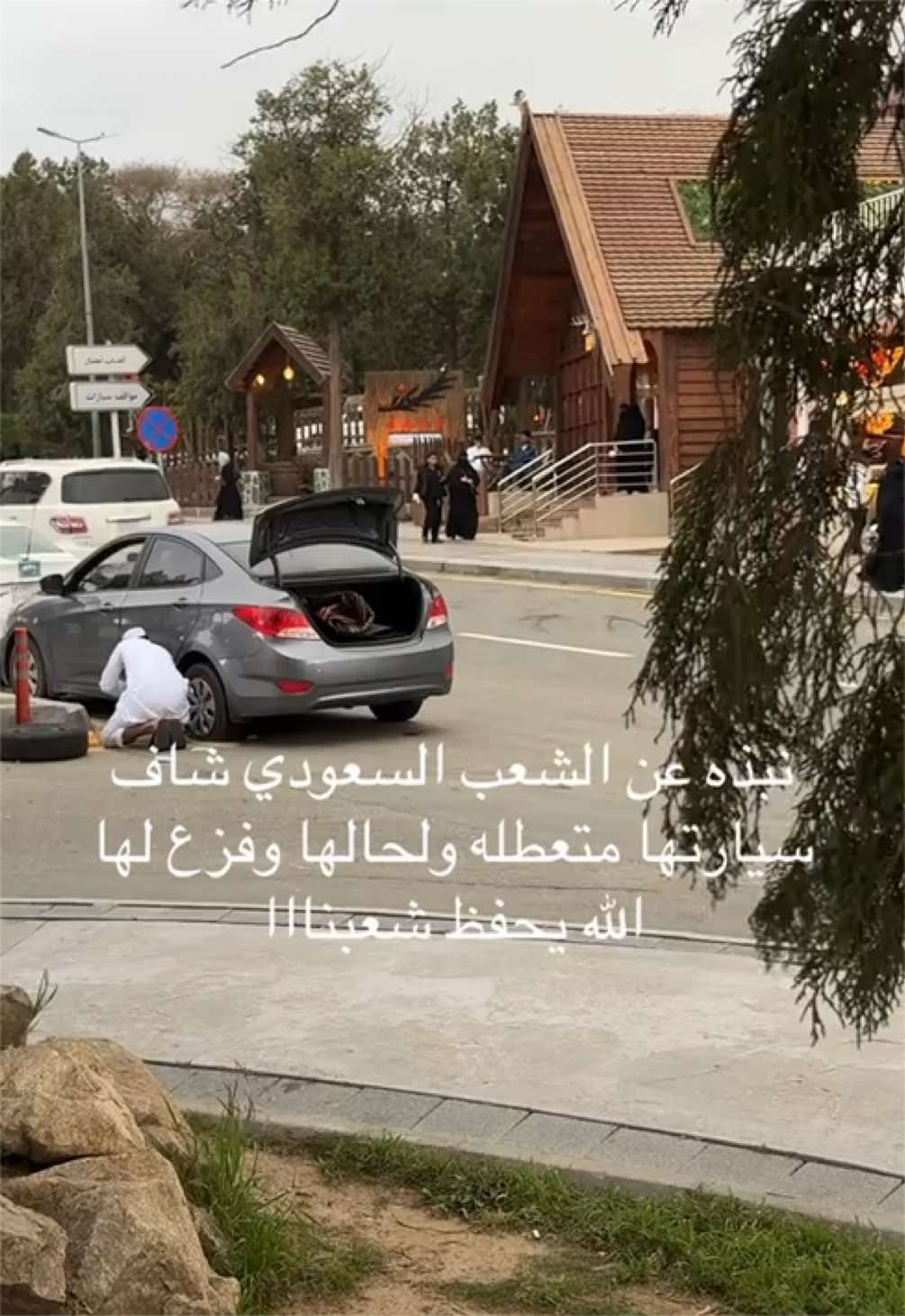 @زهره🌷