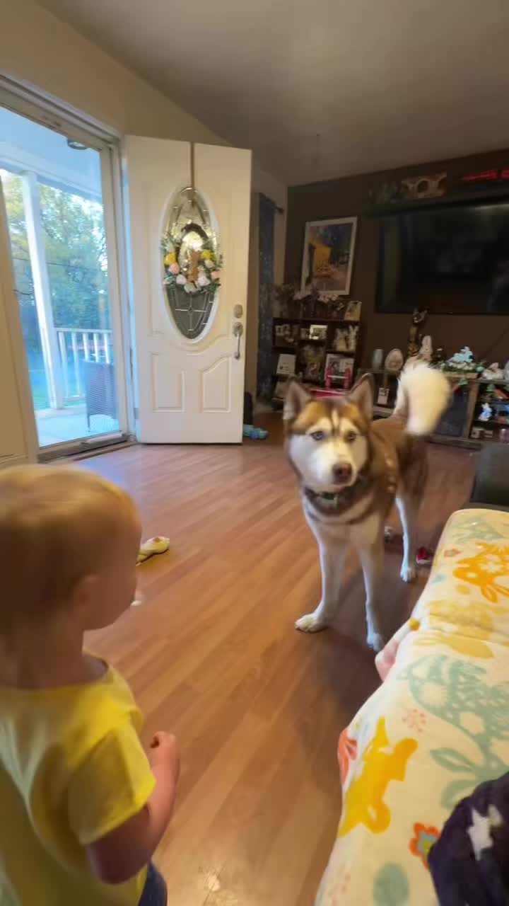 @FourHuskyteers