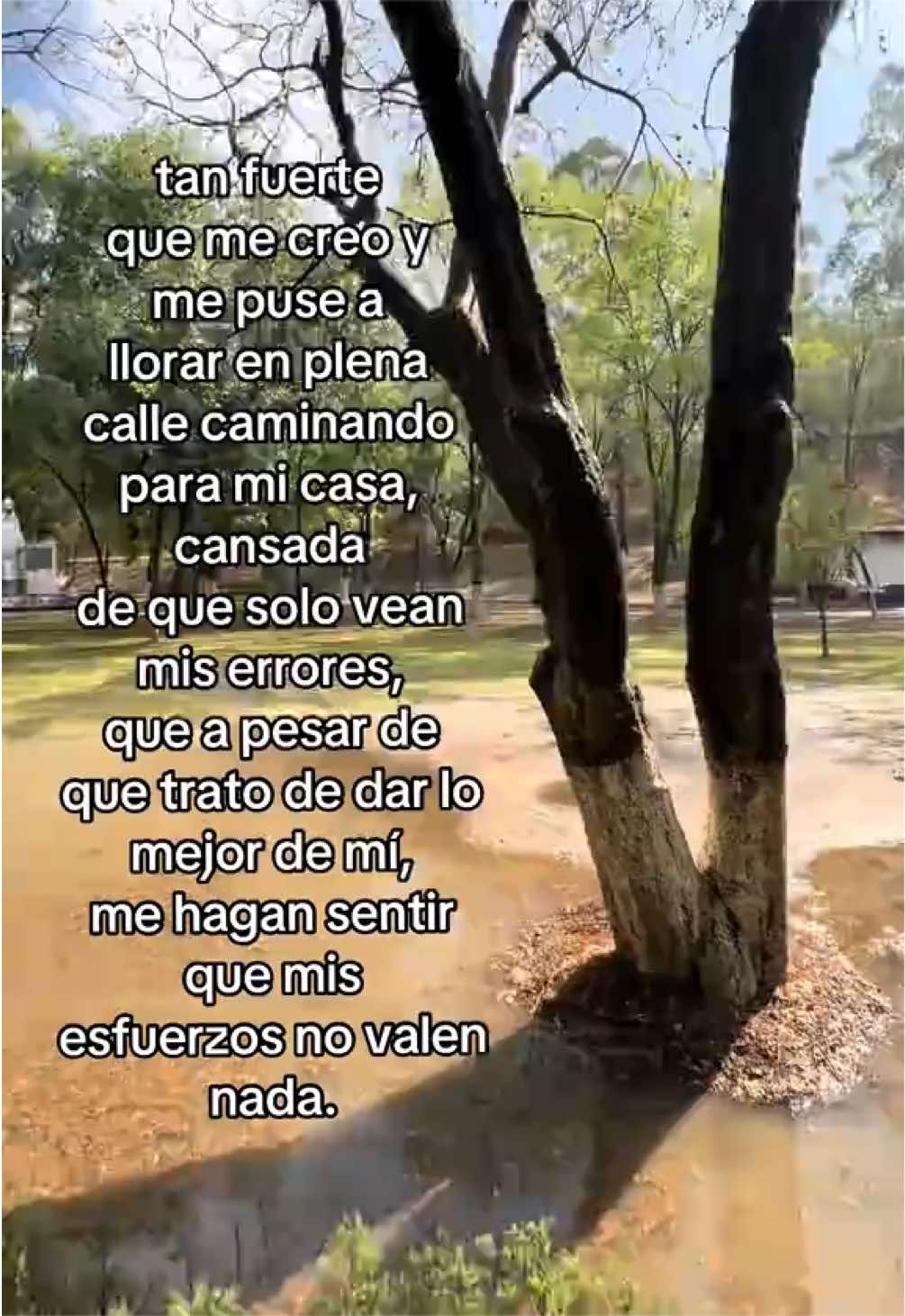 @x_f4m77_x