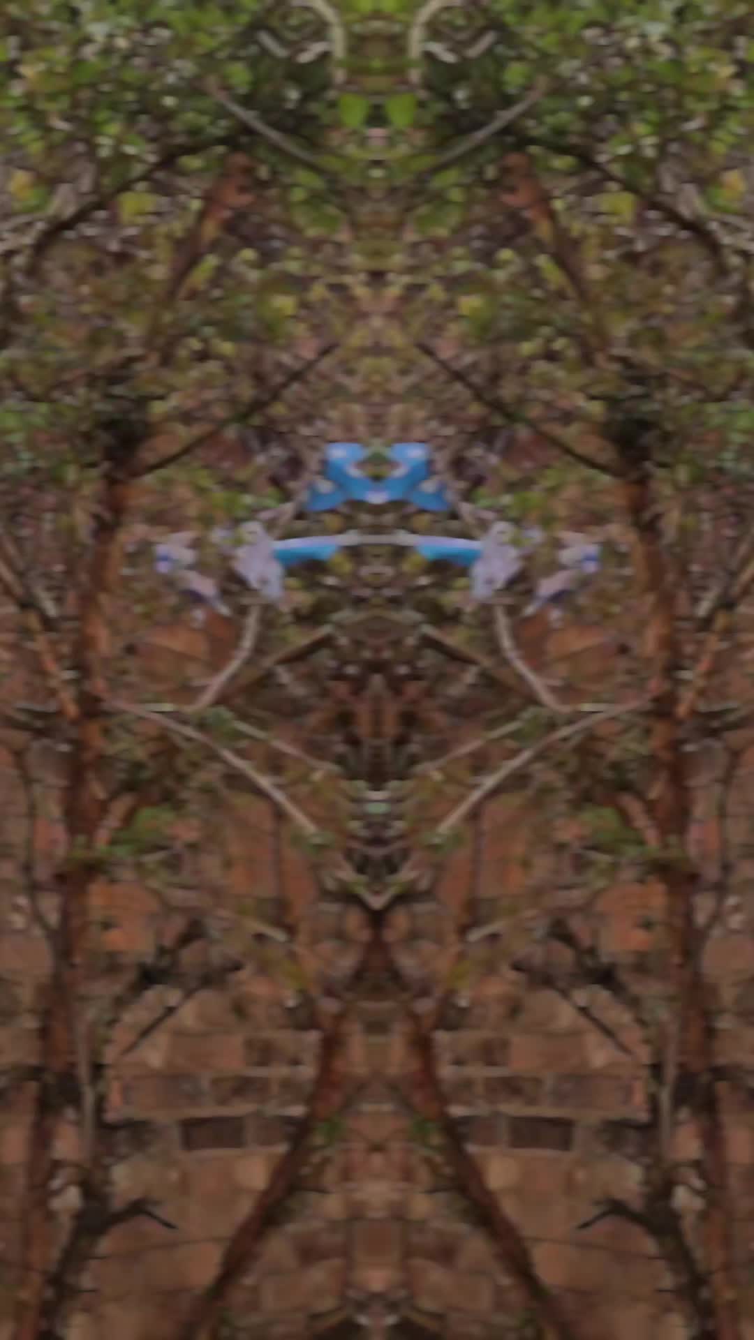 @360hatman