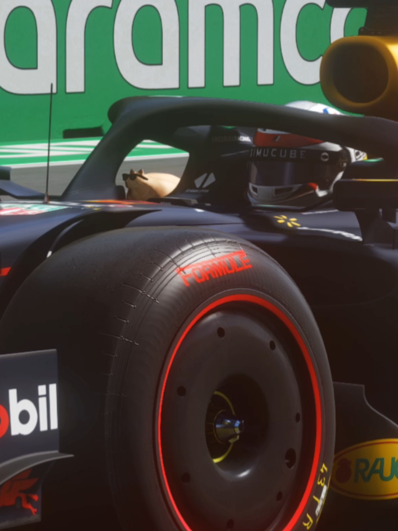 @Pablo the Race Cat