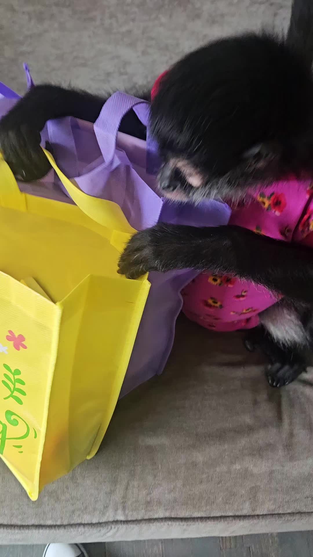 @It's🐵Monkey🐵Time🐵