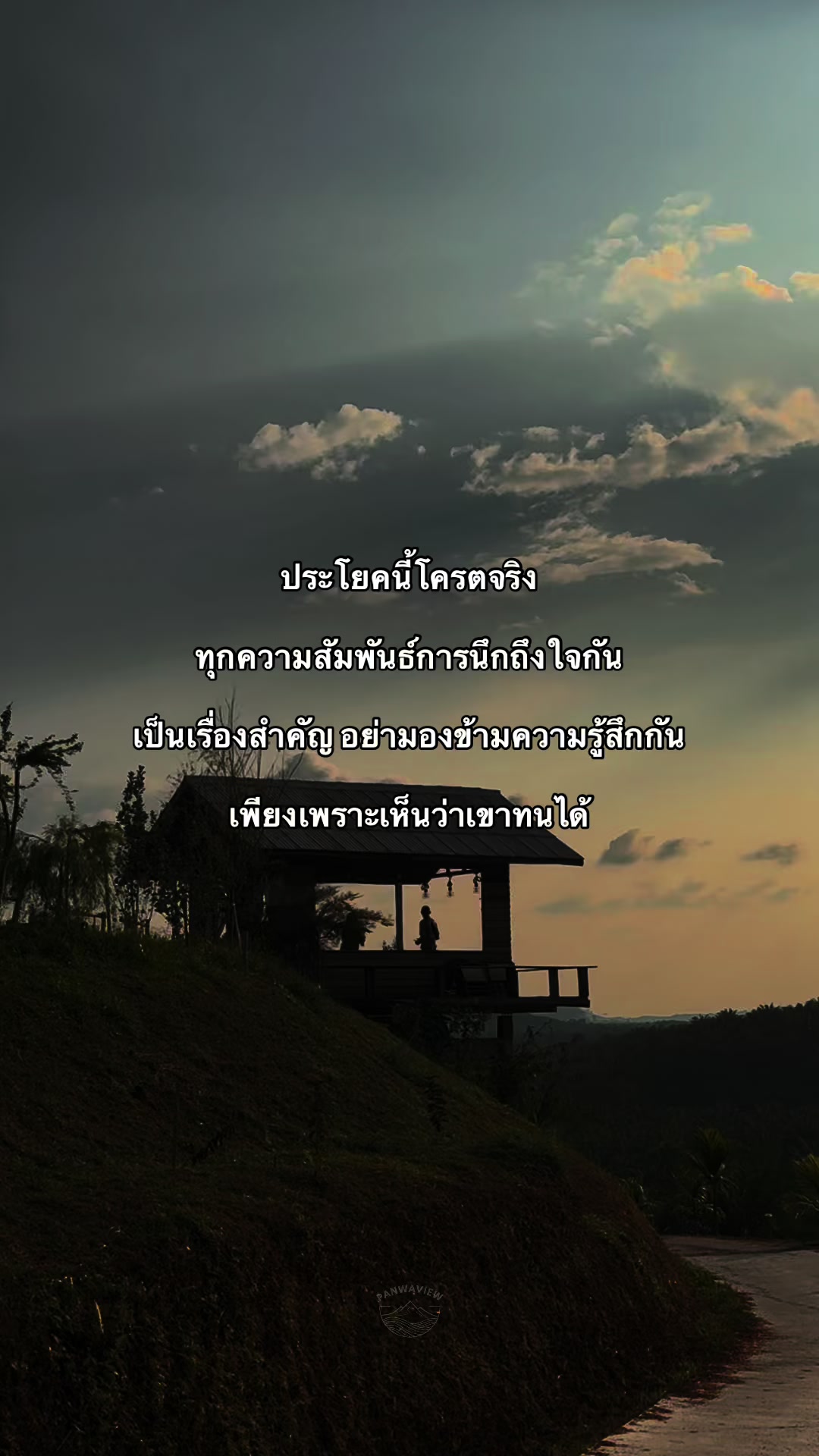 @PANWAVIEW