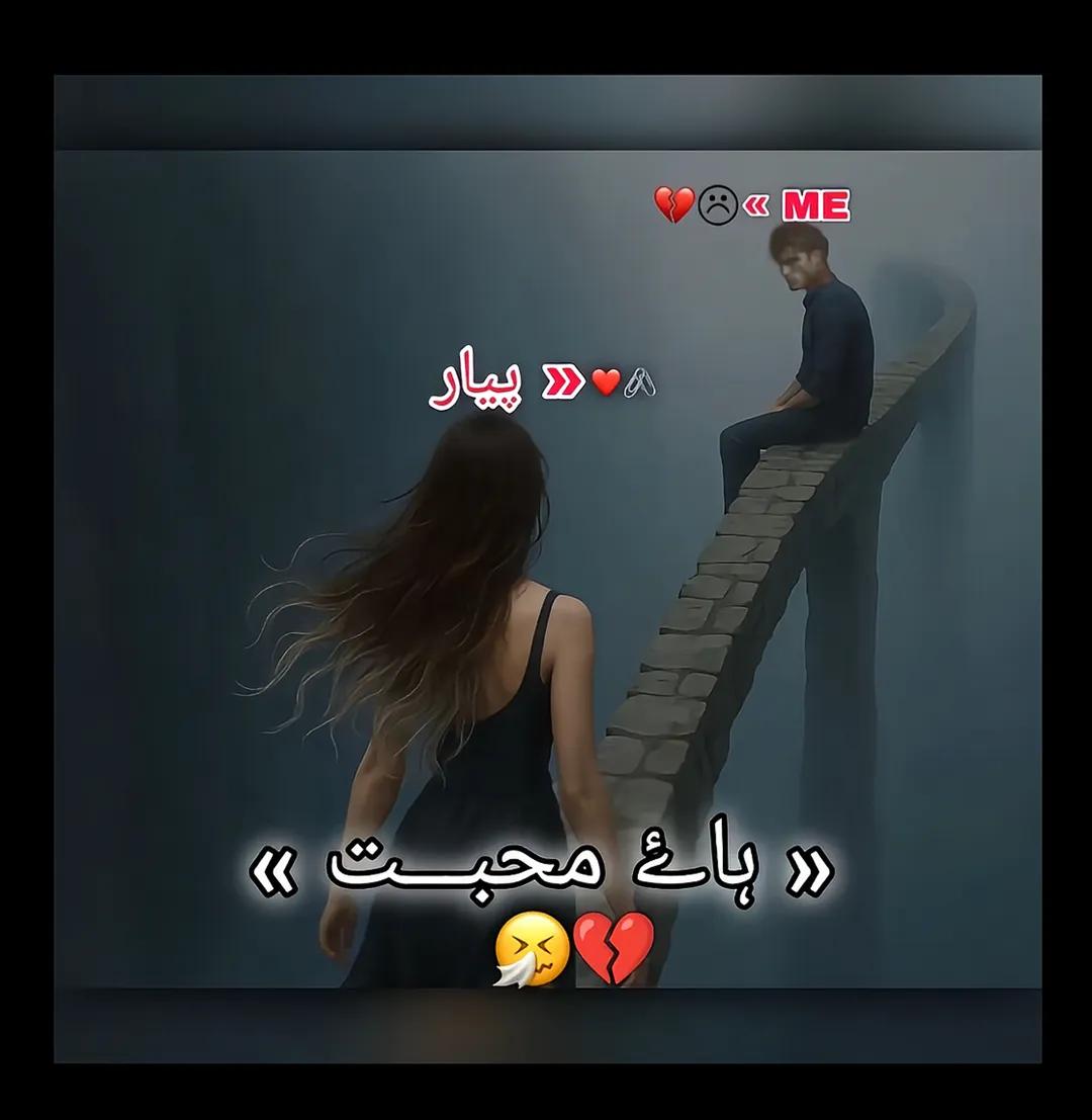 @Muhammad Sidique