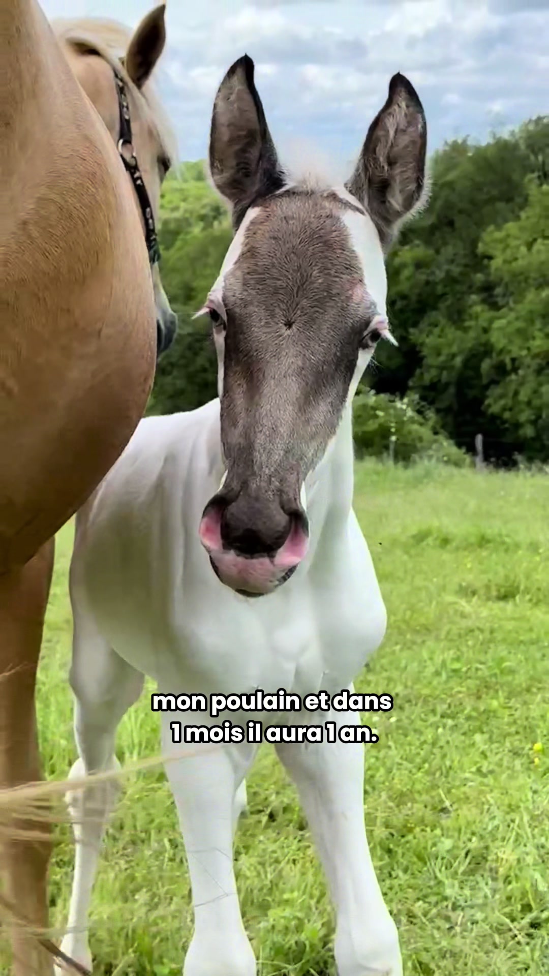 @Mathilde & ses animaux🌼