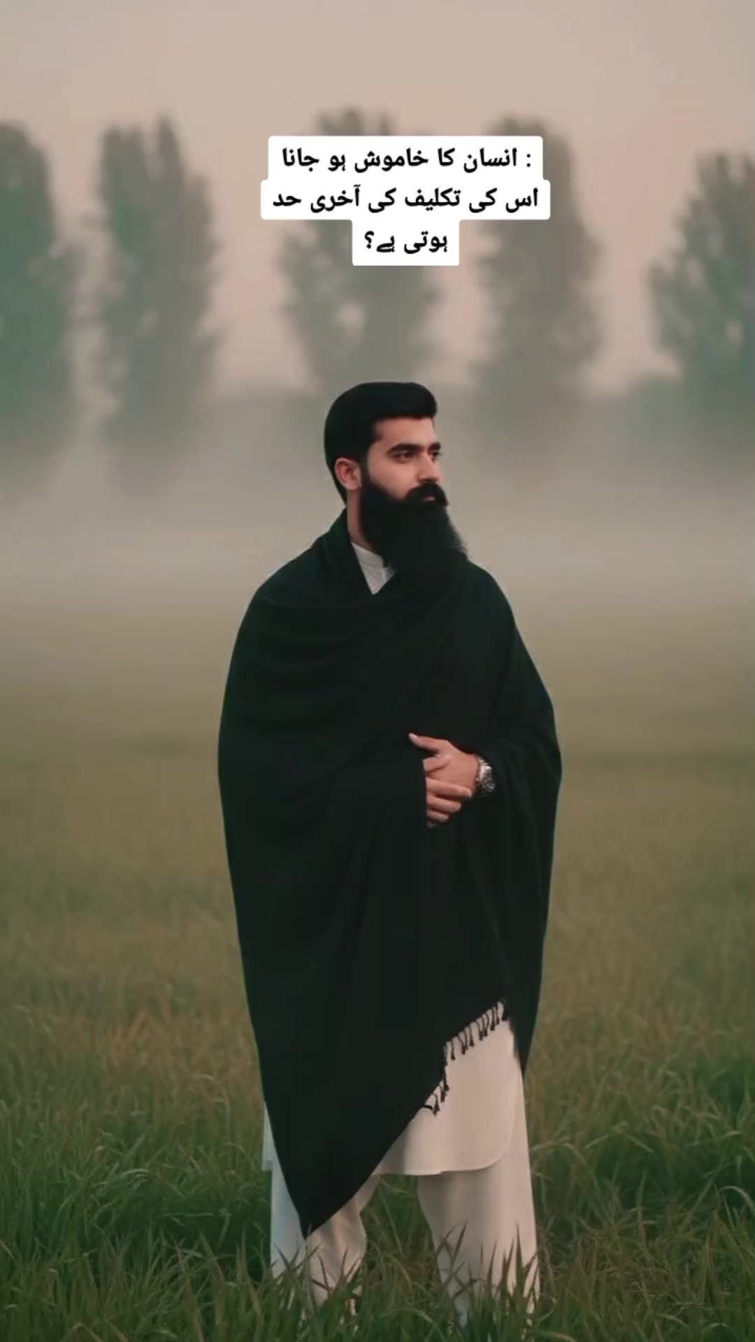 @Saqlain Shahi 🇵🇰