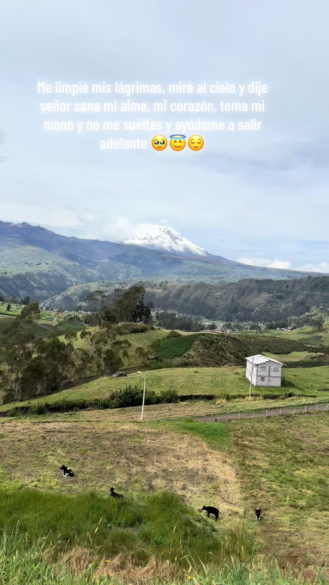 @Maribel Poalacin