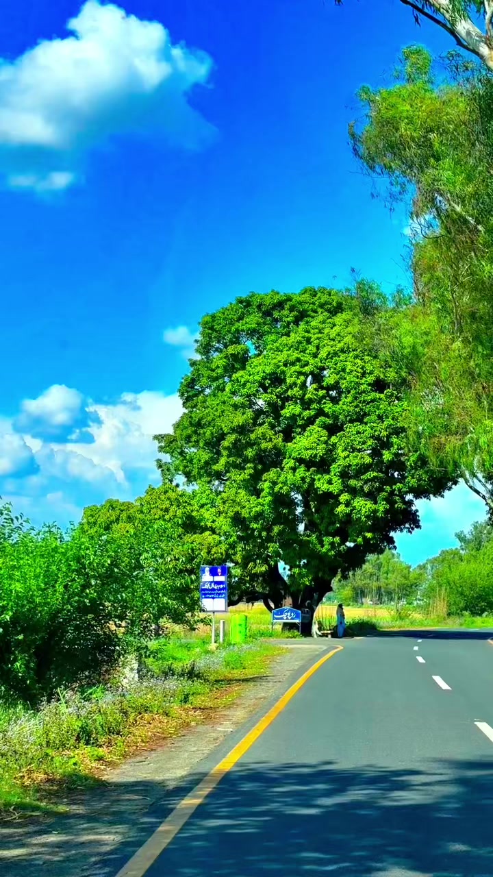 @🌹🌾☘️ پنجابی منڈا 🌸🪴🌹