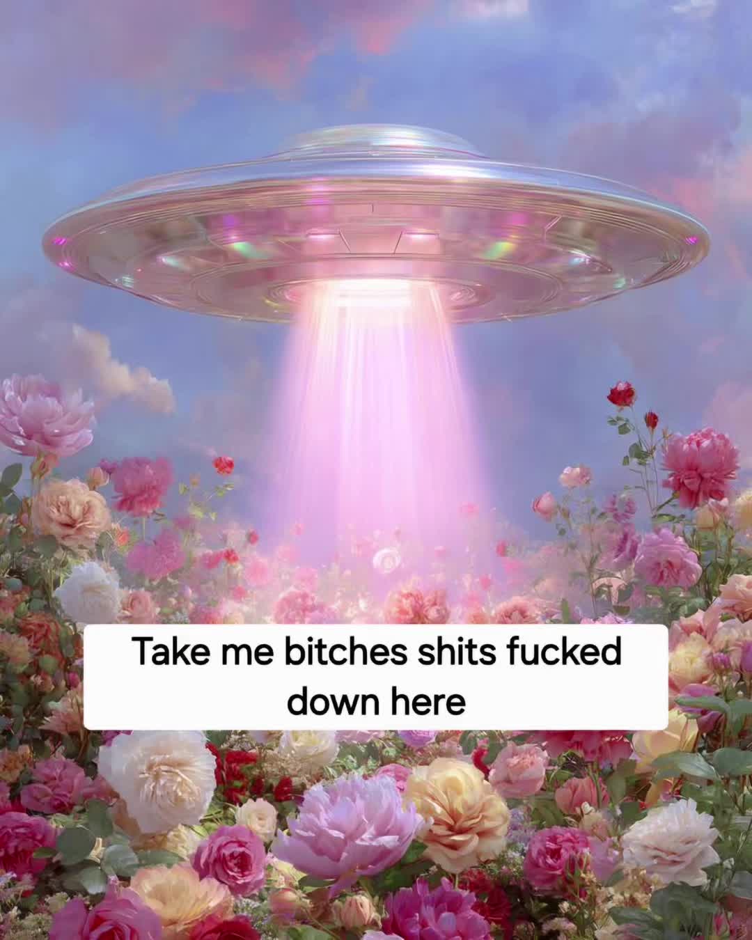 @Sarah Enrizzle