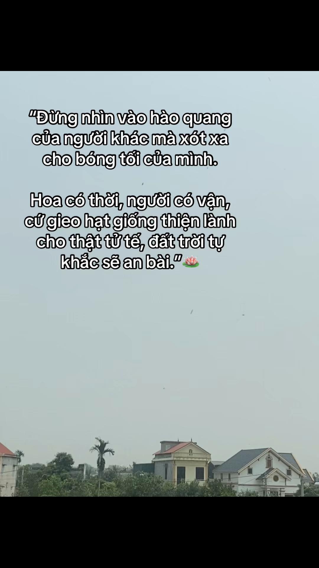 @🪷