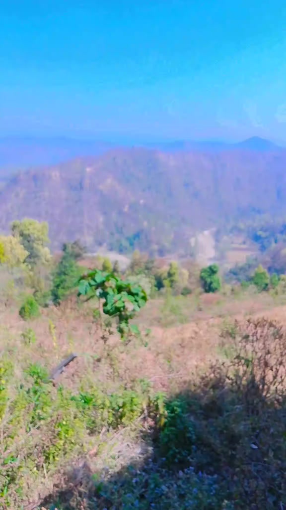 @Jishan Bhat