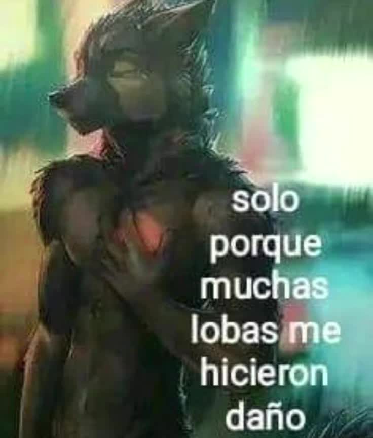 @HZtax